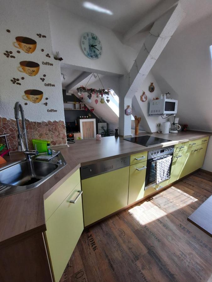 Ferienwohnung Mit Elbwiesenblick Wittenberg ภายนอก รูปภาพ