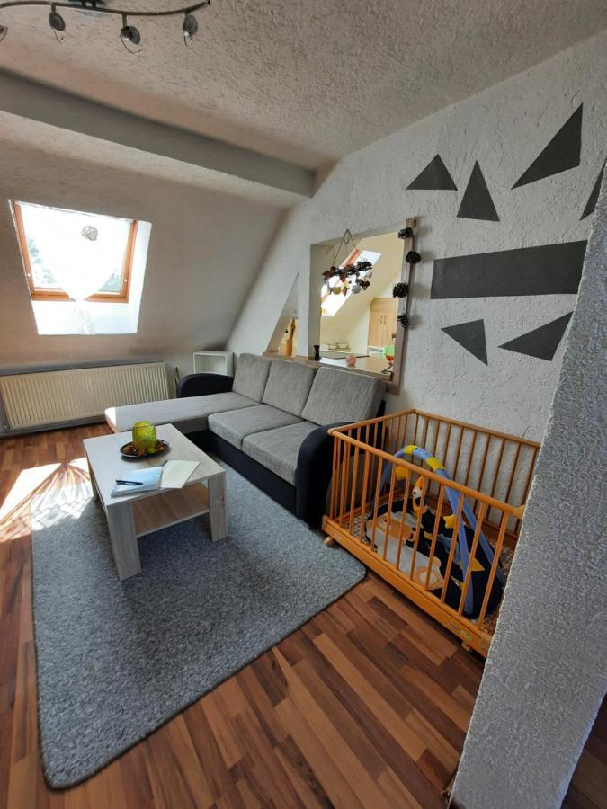 Ferienwohnung Mit Elbwiesenblick Wittenberg ภายนอก รูปภาพ